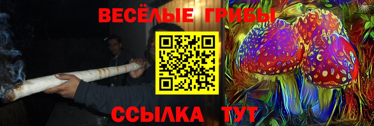 Галлюциногенные грибы Psilocybe  Вход с VPN  Новошахтинск 